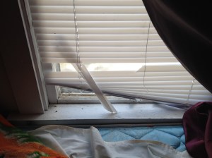 Blinds