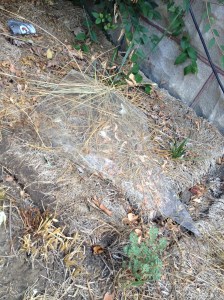 Broken Glass