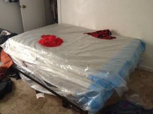 No sheets
